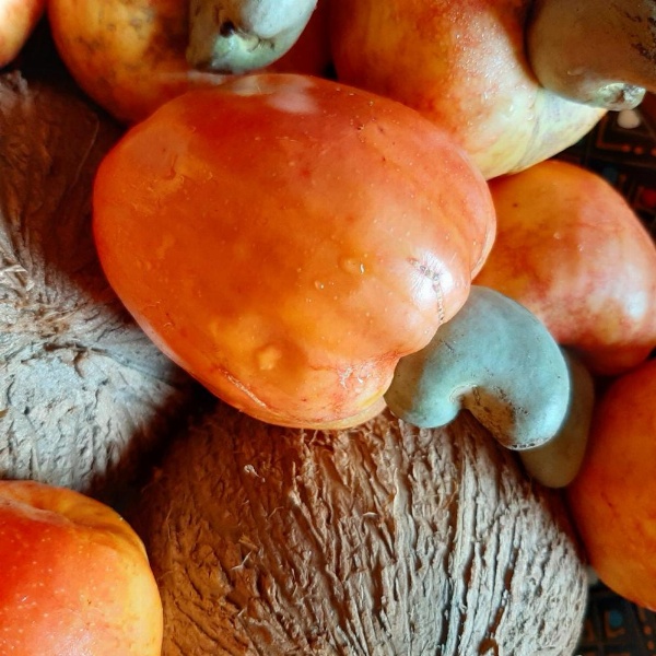 Manga Rosa Hospedagem image 13